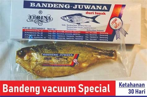 Promo Bandeng Presto Juwana Elrina Khas Semarang Vacum Basah Gr