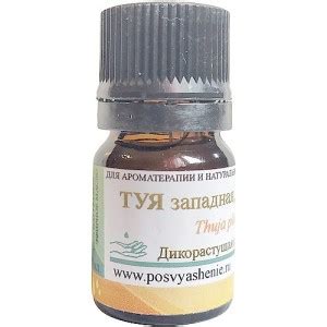 Эфирное масло Туя западная, красная (Thuja plicata) — купить в интернет ...