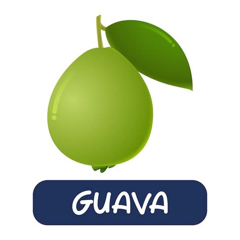 Vector De Fruta De Guayaba De Dibujos Animados Aislado Sobre Fondo