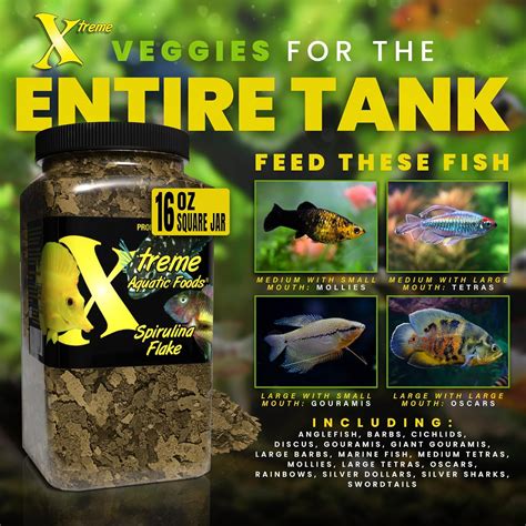 Xtreme Spirulina Crave Alimento En Escamas Para Peces Tropicales