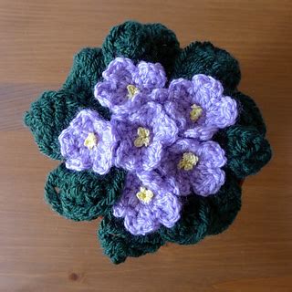 Ravelry Crochet African Violets Pattern By Rainbow Junkie