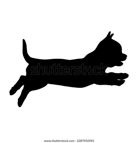 Chihuahua Puppy Dog Silhouette Vector Dog Stock Vector (Royalty Free) 2287456965 | Shutterstock