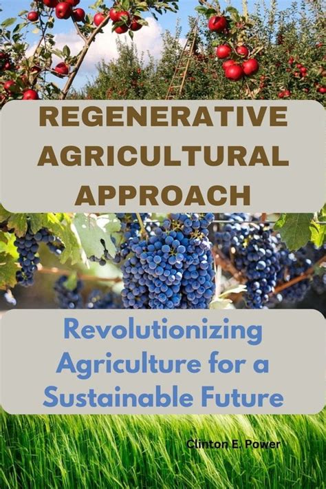 Regenerative Agricultural Approach Ebook Clinton E Power