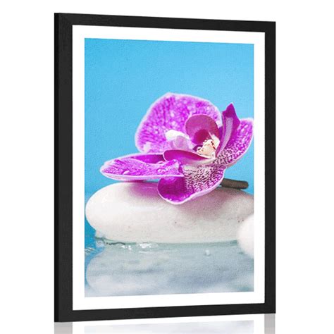 Poster Mit Passepartout Orchidee Und Zen Steine Dovido De