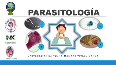 Generalidades De Parasitolog A Miocardiocitos Udocz