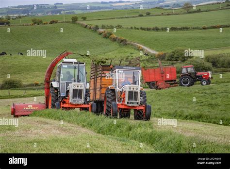 Double chop grass hi-res stock photography and images - Alamy