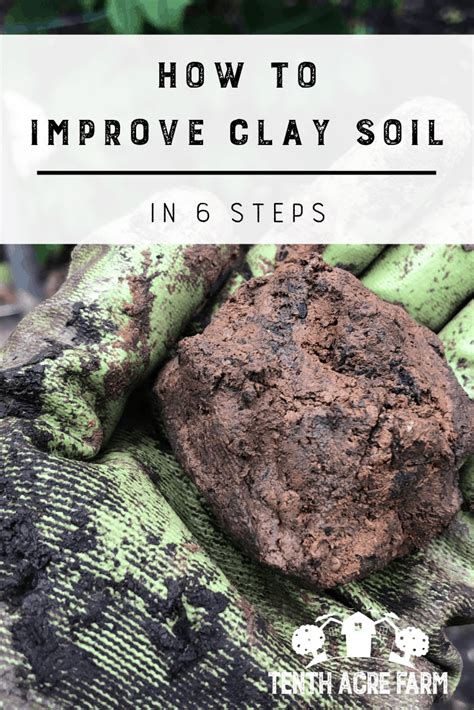 How To Improve Clay Soil In Steps Heavy Clay Soil Can Be Frustrating