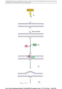 Patologia Degenera O Docsity