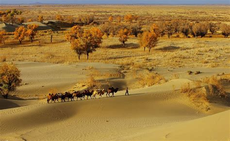 Taklamakan Desert - Alchetron, The Free Social Encyclopedia