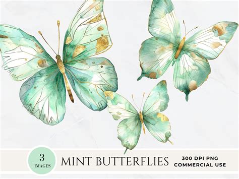 Mint Green Gold Butterflies Clipart Watercolor Butterfly And Flower