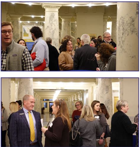 Nurses Day At The Capitol 2024