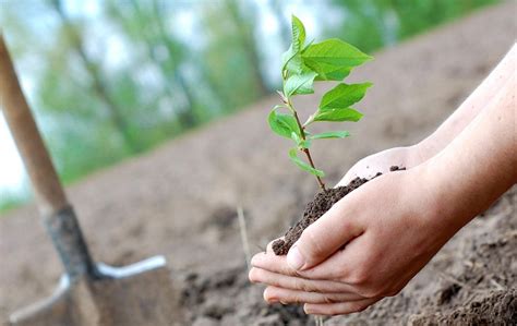 C Mo Aumentar La Conciencia Ambiental De La Sociedad Ash Consultores