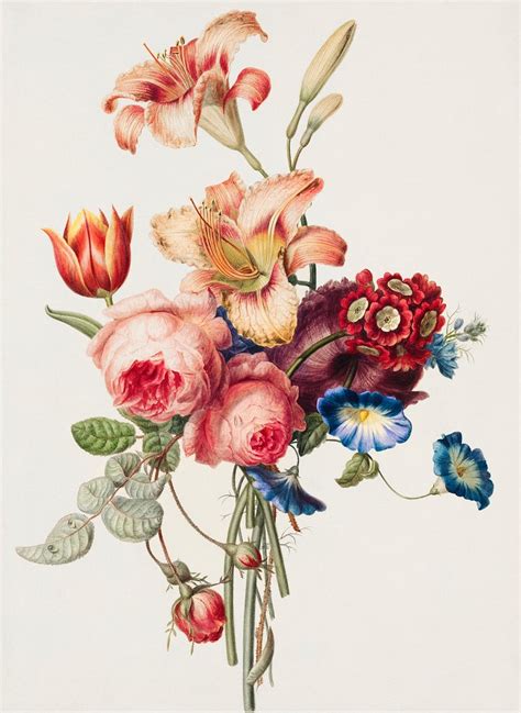 Bouquet (1820) Henriëtte Geertruida Knip. | Free Photo Illustration ...