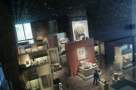 Museo de Historia Natural de México | Ciencia y Biología