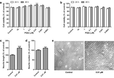 Effect Of Pqq On Cell Viability And Neurite Outgrowth Of Primary