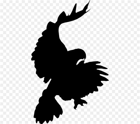 Bird Red-tailed hawk Silhouette Clip art - flying bird vector free ...