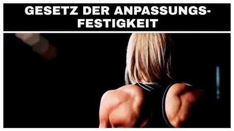 Gesetz Der Anpassungsfestigkeit Trainingsgesetze 3 6 YouTube