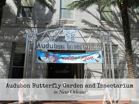 Audubon Butterfly Garden and Insectarium in New Orleans