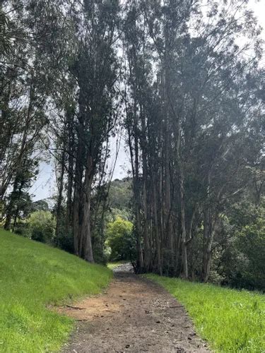 10 Best Trail Running Trails In Berkeley Alltrails