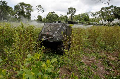 Colombia’s Coca Acreage for Cocaine Production at All-Time High - The New York Times