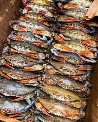 BLUE POINT CRAB COMPANY - Updated February 2026 - 10 Photos - 17847 ...