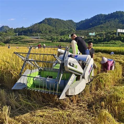 Cosechadora Moissonneuse Batteuse Combine Harvest Wheat Rice Harvesting