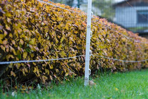 How Much Does It Cost To Install An Electric Fence In 2025 Checkatrade