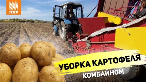 Улучшенный картофелеуборочный комбайн ККУ-1. Что изменилось? - YouTube