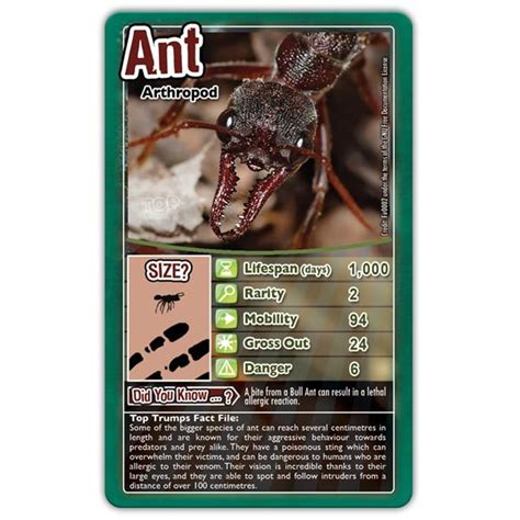 Top Trumps Bugs Board Game At Mighty Ape Nz