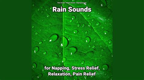 Rain Sounds For Napping And Stress Relief Pt 69 Youtube