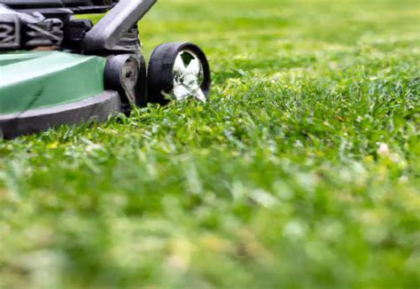 Mulching Blade Lawn Mower Guide: Benefits and Recommendations