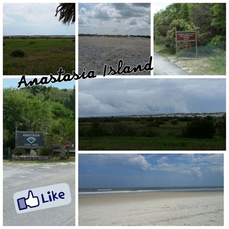 Anastasia Island | Anastasia island, Beautiful beaches, Island