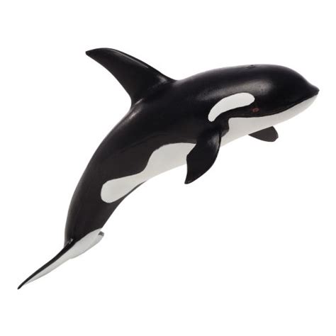 Large Realistic Orca Figure