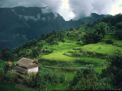 White And Brown Hut And Rice Field Landscape Asia HD Wallpaper