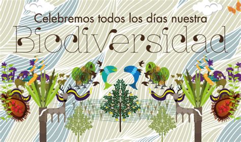 Mensajes E Imágenes Para El Día Mundial De La Biodiversidad 22 De Mayo