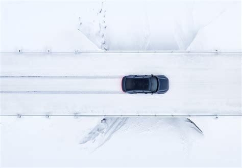 ways to cat making noise without vet 9