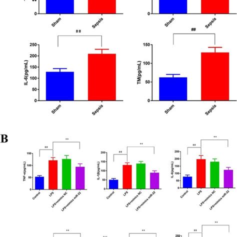 Mir Attenuated Lps Induced Inflammatory Response In The Aki Model