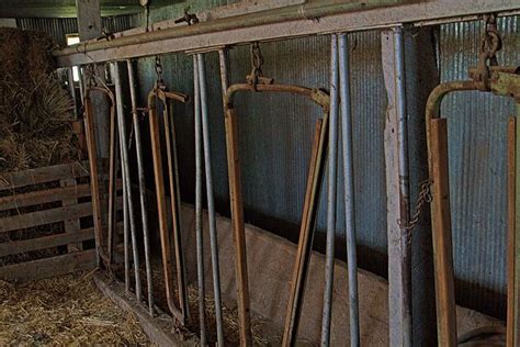 Milk Barn Stanchions by Alana Thrower | Metal prints, Barn, Wall art ...