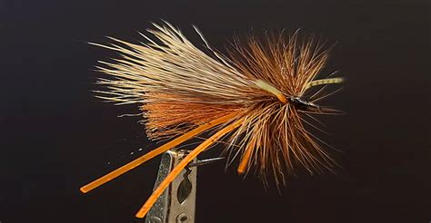 Clark S Stonefly Variant Worley Bugger Fly Co