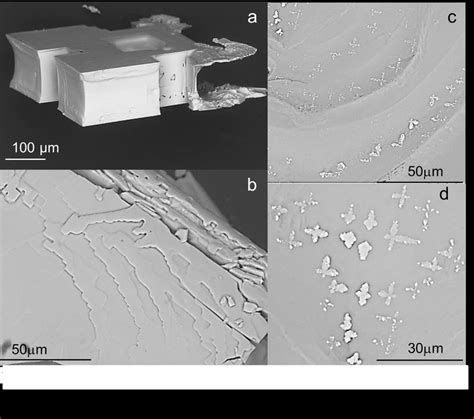 Sem Images Of Nacl Crystals A The Profile View And B The Confined