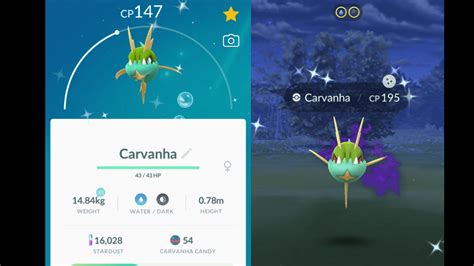 Can Carvanha Be Shiny In Pokemon Go? - Gameinstants