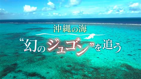 「bs4k特集「沖縄の海 “幻のジュゴン”を追う」」その他 【無料体験】動画配信サービスのビデオマーケット