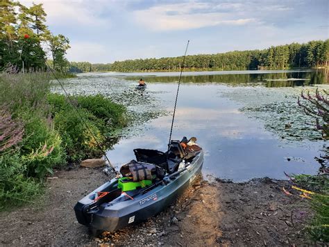 Baldpate Pond Fishing - MA Fish Finder