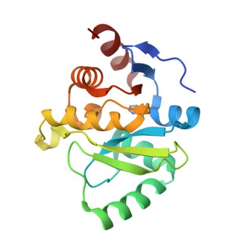 RCSB PDB 5S3L PanDDA Analysis Group Deposition Crystal Structure