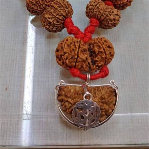 Natural To Mukhi Rudraksha Siddha Mala