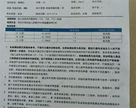 产前无创DNA报告单解读三项结果竟然暗示宝宝性别 孕多多