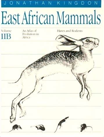 East African Mammals Volume Iib Hares And Rodents By Jonathan Kingdon