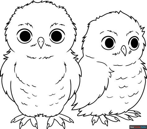 Owl Babies Coloring Page | Easy Drawing Guides