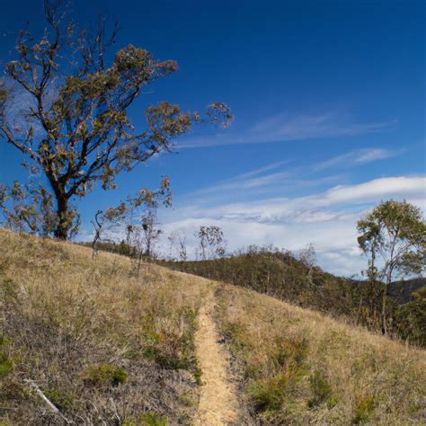 The Great Dividing Range: Australia's Remarkable Natural Wonder - TooLacks