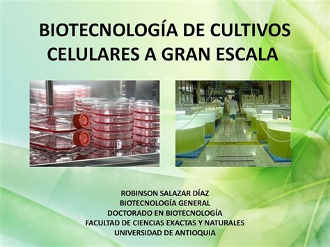 Calaméo Biotecnología de Cultivos Celulares a gran escala